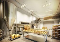 Ct Foodnex (D25), Factory #556681911
